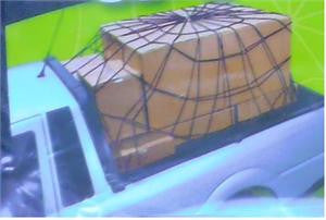 Cargo Pickup / Lugguage Carrier Net Full-Size Spider Cargo Net (5Mm X72" X108" X28 Plastic Hooks)